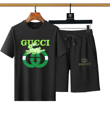 Gucci Tracksuits for Gucci short tracksuits for men #999936034
