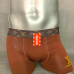 Brand L Underwears for Men #99903188