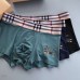 Burberry Underwears for Men (3PCS) #99117250