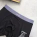 Louis Vuitton Underwears for Men (3PCS) #99117261