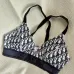 2025 new style Dior swimsuit fashionable sexy women swimwear #A45970