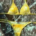 2025 new style Dior swimsuit fashionable sexy women swimwear #A45971