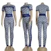 Dior 2022 new Fashion Tracksuits for Women #999920497