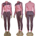 Dior 2022 new Fashion Tracksuits for Women #999930537